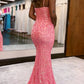 Lace Mermaid Square Spaghetti Straps Zipper Back Floor Length Prom Gown