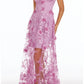 Slim Column V Spaghetti Strap Zip Back Sheer Maxi Prom Dress