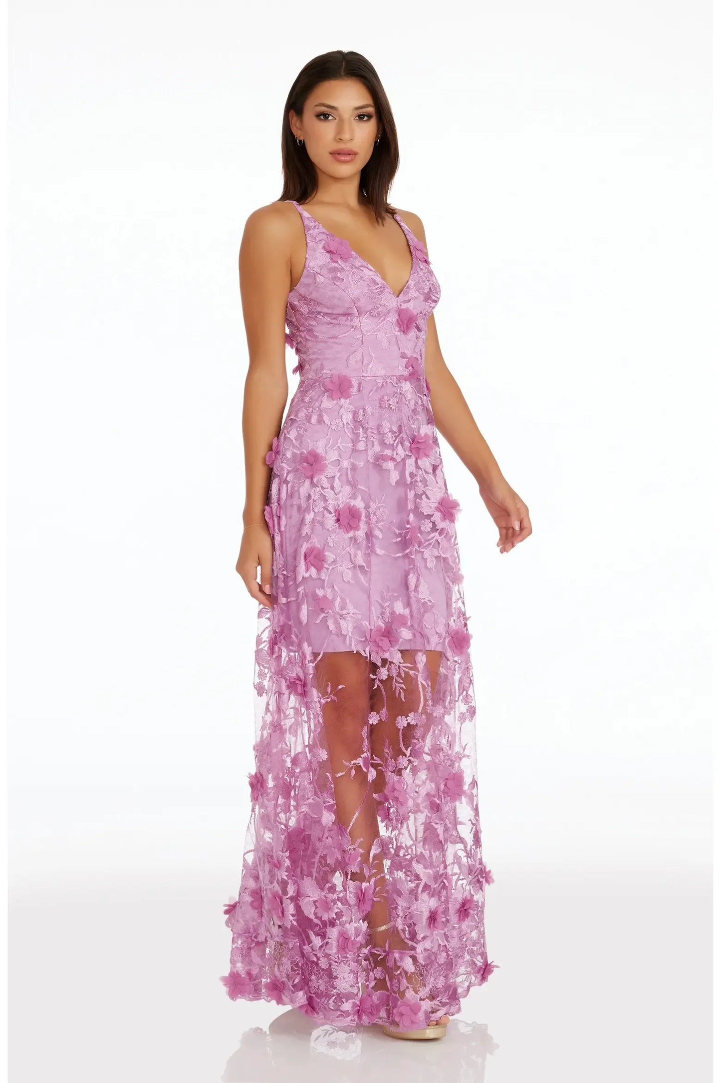 Slim Column V Spaghetti Strap Zip Back Sheer Maxi Prom Dress